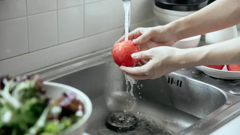 Food Safety and Hygiene Practices in the Modern Kitchen