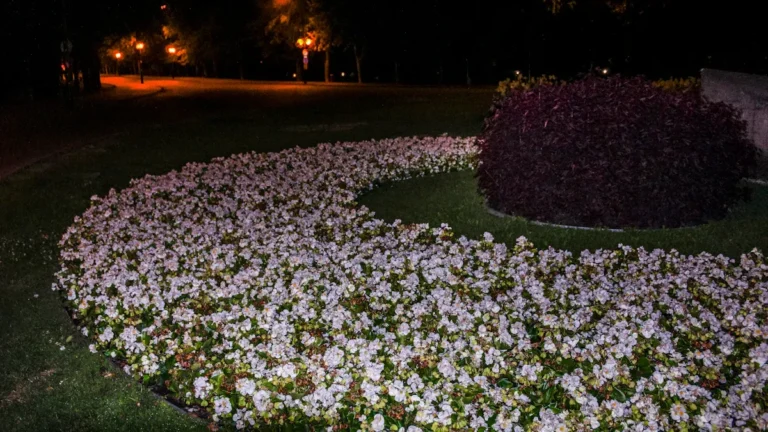 Smart Outdoor Lighting Systems for Security and Landscape Enhancement