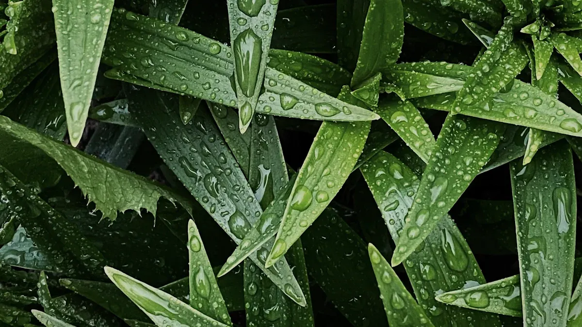 Eco-Friendly Materials